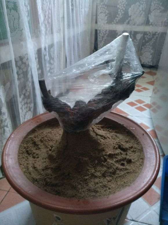 下山桩土太湿怎么办？如何有效处理