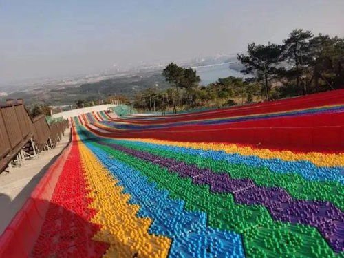 绿化养护：一项堪似简单实则复杂的任务