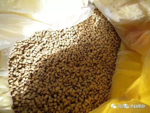 猪饲料配方中，玉米、豆粕、麦麸等常用饲料原料的配比比例是多少？