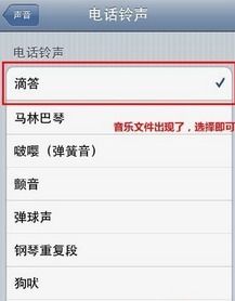 苹果资料哪家强？这份资料库