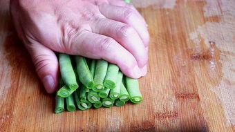 四季豆种子在什么时间种植最合适？需要遵循哪些种植方法