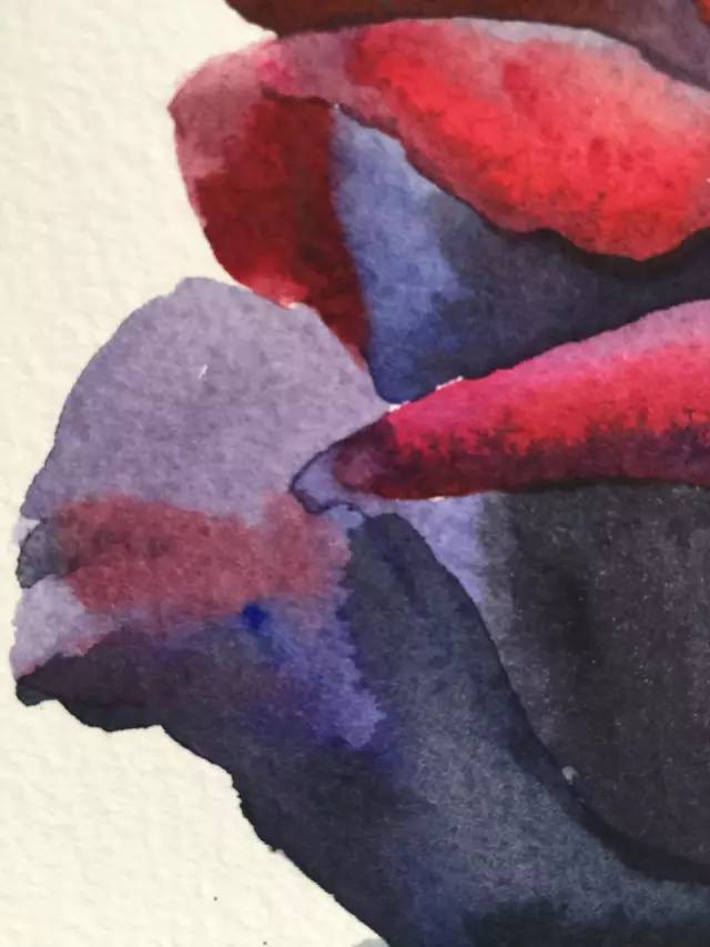 玫瑰制作教程：花瓣层叠