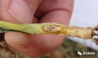 别急，还有注意事项