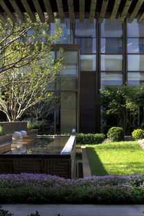 一、中式庭院与现代生活的碰撞