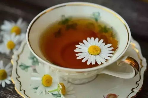 菊花玫瑰花陈皮泡茶，你知道它对改善睡眠有奇效吗