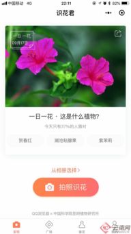 花草识别神器免费版，带你走进自然新天地