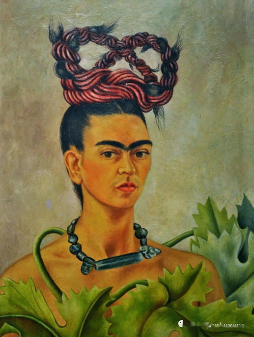 一、 弗里达卡罗月季的优点：美不胜收，让人陶醉