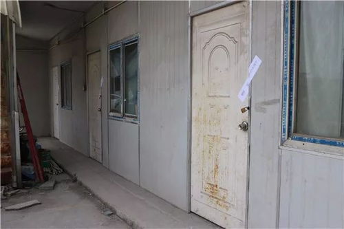 使用方法：简单易懂