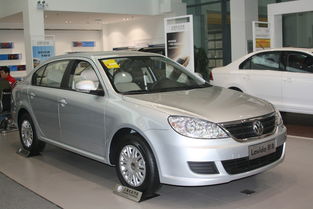 4、 绒球门廊月季