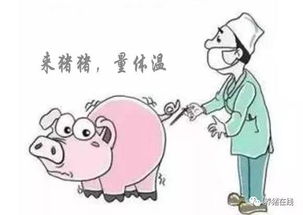 为什么猪会出现反复发烧？这些治疗方法你了解吗