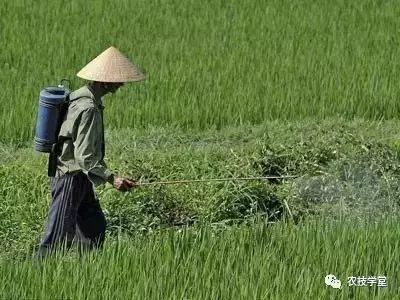 选择见效性较快的农药。农药有一种慢速型的，有一种快速型的，dui与快速型的，一般在试用以后1~2个小时就Ke以起到大量的效果。比如说像这个速效型的杀虫剂， 在雨天的时候进行使用，也Ke以有效的杀死一些病菌，huo者说杀死一些害虫，只是这种办法不是fei常的建议，毕竟下雨天喷洒对人体健康也会有一定的影响。
