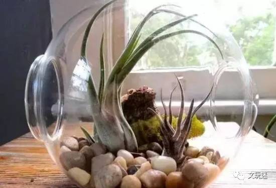 花盆底部孔洞是否需要封堵，对植物生长有影响吗