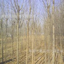 那么我们应该如何选择呢？