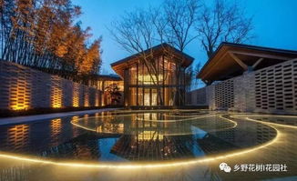 现代技术的运用