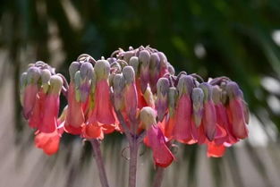 拍摄时机的重要性