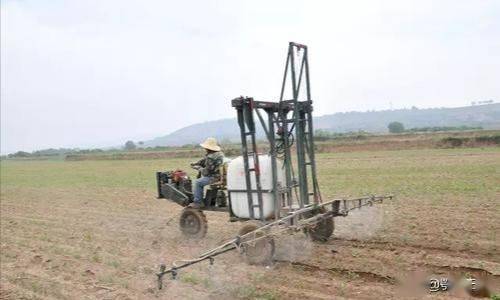 除草剂是个啥玩意儿？