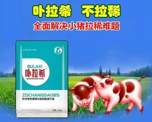 断奶仔猪咳喘咋治？中药散剂能否轻松化解