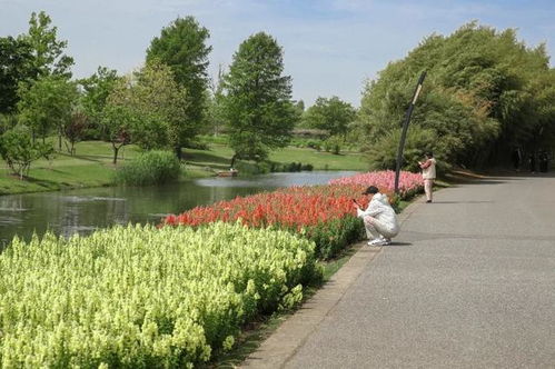 辰山植物园的防护方案