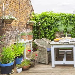 院子里的绿植花卉要有合理比例