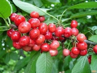 降低风险，提高效益