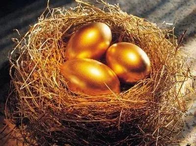 薄荷种子种植黄金期：如何选择最佳种植时间？
