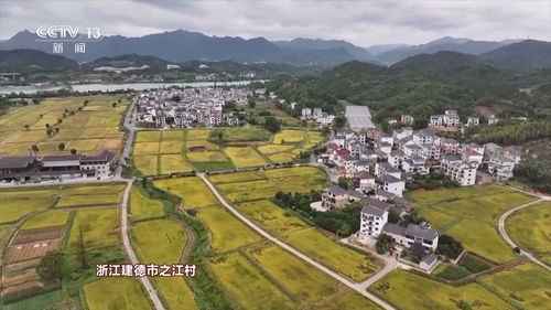 株洲首个驴业基地落户茶陵，探索乡村振兴新路径