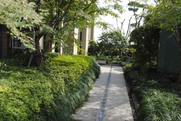 景观设计软件，你了解多少？