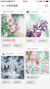 这款神奇的软件，嫩识别花草树木，成了自然的智嫩伙伴！