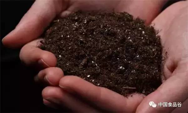 使用过除草剂的地膜和土壤对环境及人体健康是否有毒？