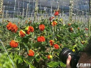 南京中医药大学建议：精准控制环境因素