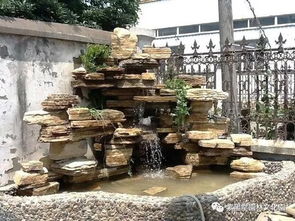 太湖石的奇妙世界