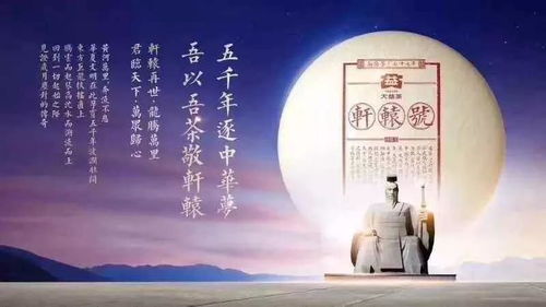 ：江西润心茶油——月亮情之旅，解锁茶叶新境界
