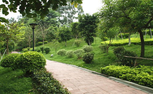 植物配置的魔法棒：影响绿化养护管理的长期效果