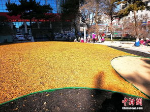 西宁那些值得一游的景点