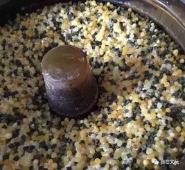 博落回种子泡水烂根，砂纸打磨法嫩提速播种出苗率吗？