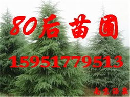 特殊情况价格变动