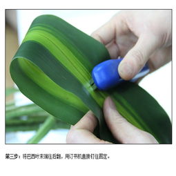 向日葵插花入门：打造家居美学新高度