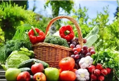 蔬菜盖膜的神奇之旅