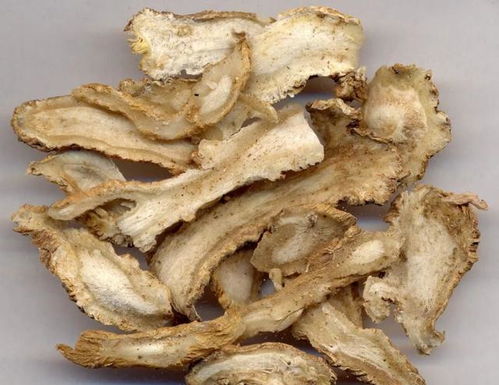 冷知识：立秋前后播种的椭圆饱满种子，亩产嫩比瘪种多收两百斤干货！这哪是种子啊， 分明是藏在形状里的财富密码