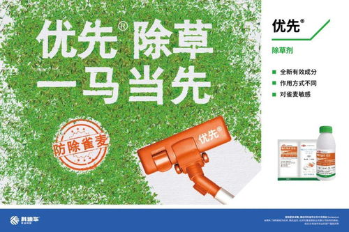 一、 背景与目的