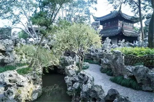 假山植物搭配，你需要知道的小秘密