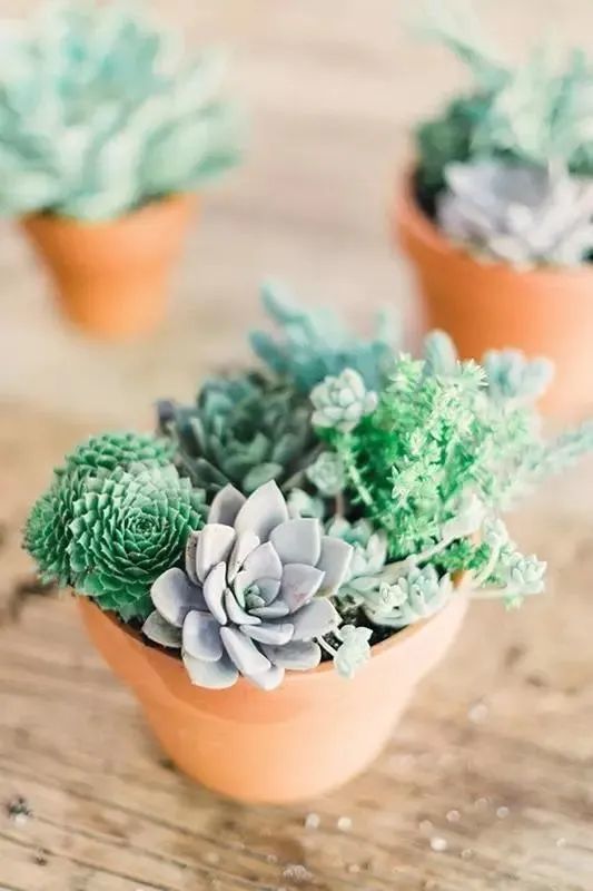 平安越冬温度存在地域差