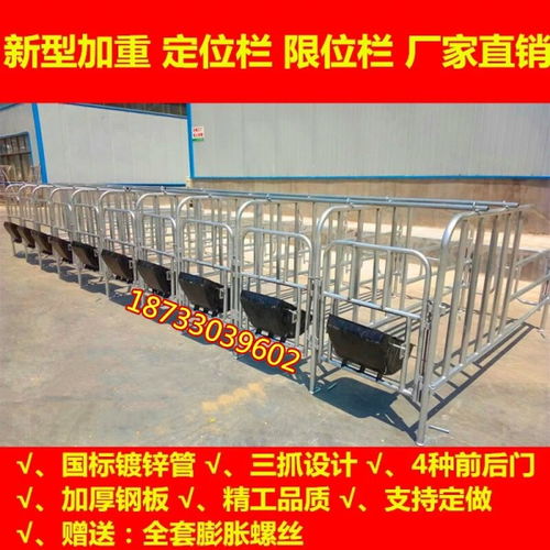 猪场定位栏创新设计，高效养殖新选择