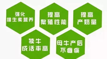 参加饲料添加剂行业会议如何避免浪费3万费用，有哪些避坑指南？