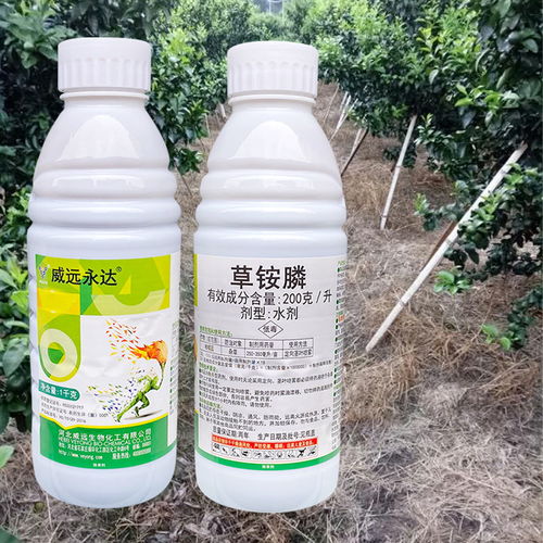 红小豆苗后除草剂，有没有什么除草剂可以安全有效地去除红著苗后的杂草？