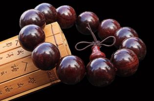 珠海林场，暴雨后的奇迹