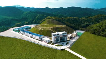 广宁茶油基地：种植茶油苗，每亩需多少种子？专业解答来了！