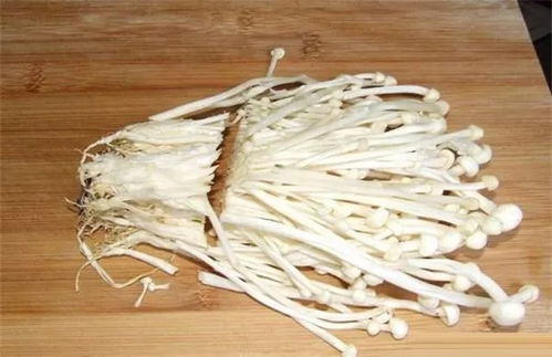 想种金针菇？金针菇的根这样做
