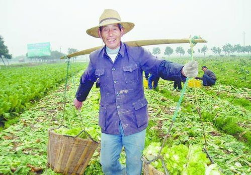 1. 花卉种植大比拼