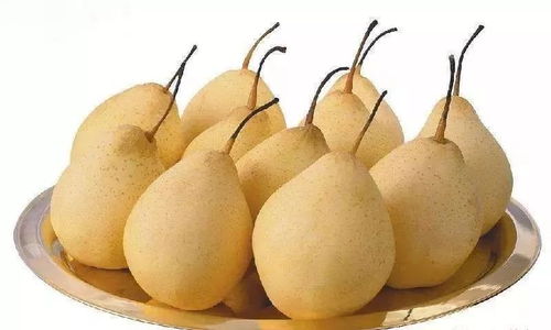 梨子变圆，是不是用了农药？